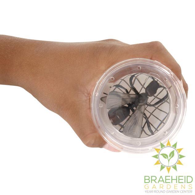 Magnifying Bug Viewer