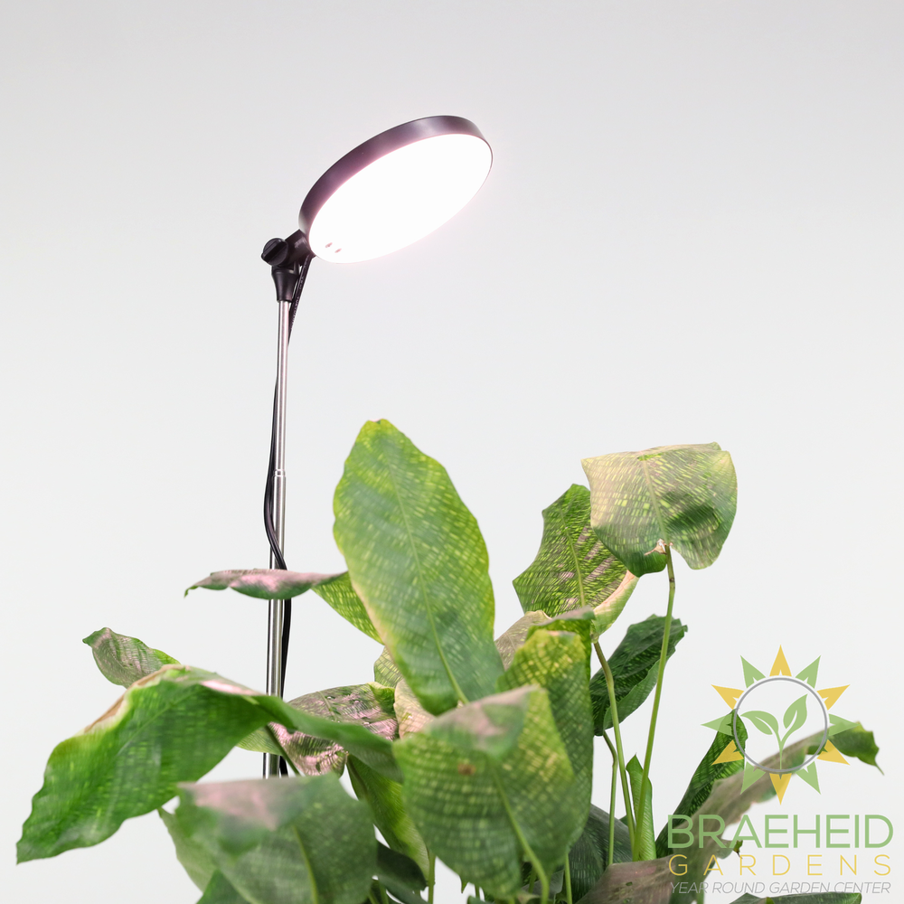 Adjustable LED Plant Light