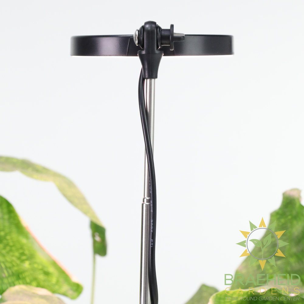 Adjustable LED Plant Light