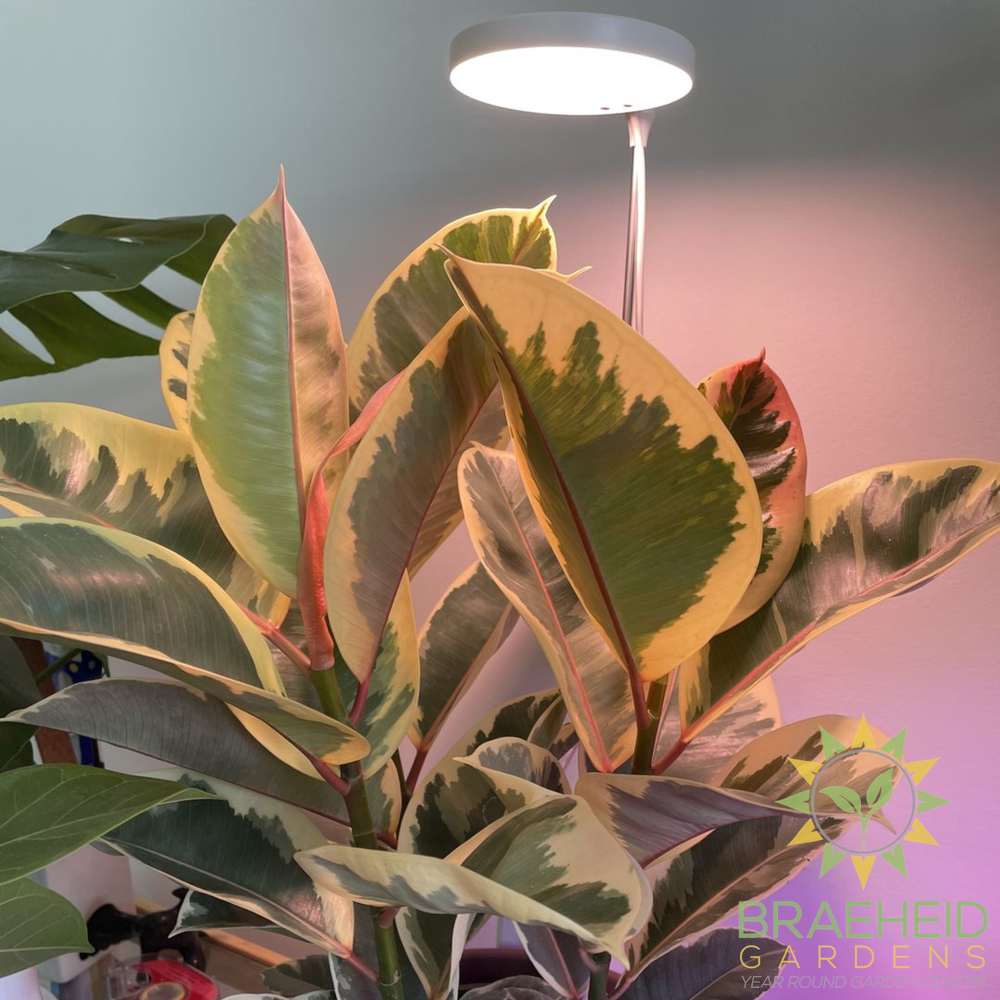 28" Adjustable LED Plant Light
