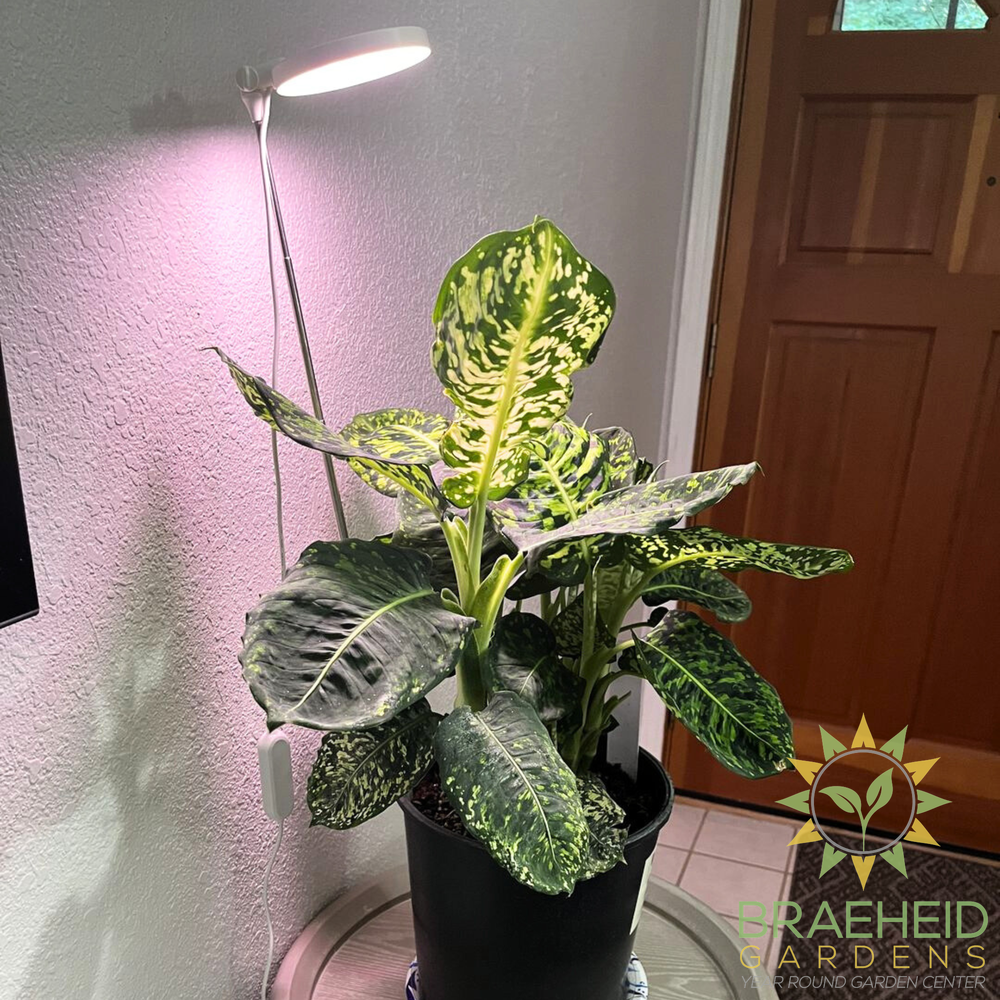28" Adjustable LED Plant Light