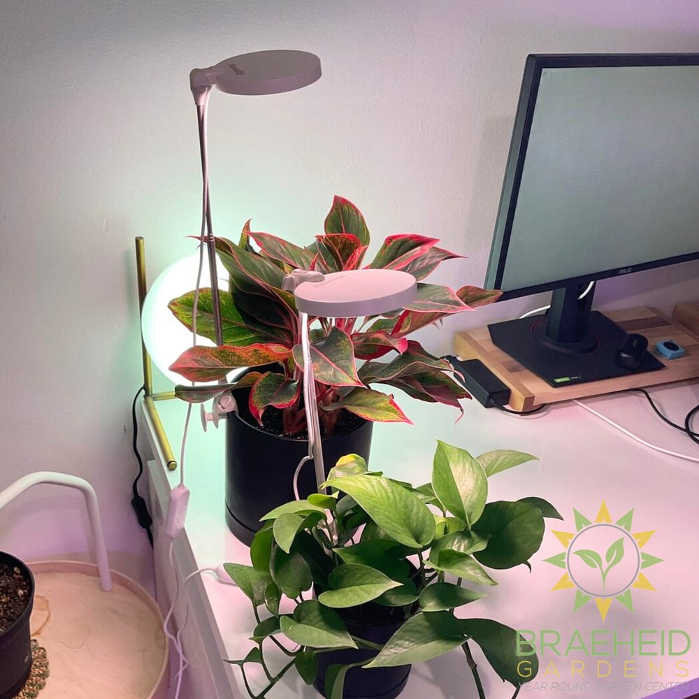28" Adjustable LED Plant Light
