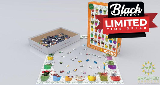 Cacti & Succulent Puzzle