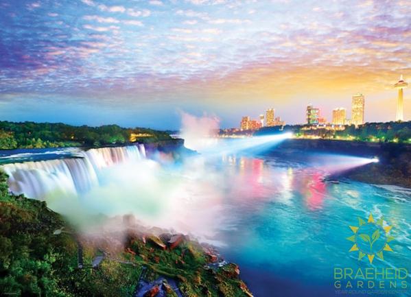 Niagara Falls Puzzle