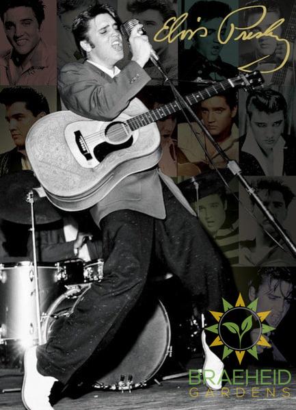 Elvis Presley Live at the Olympia Theater Puzzle