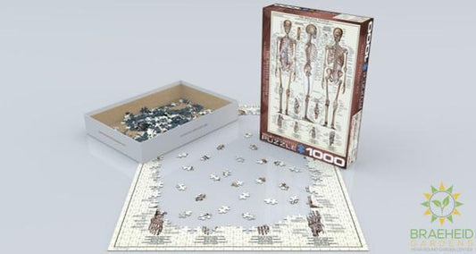 The Skeletal System Puzzle