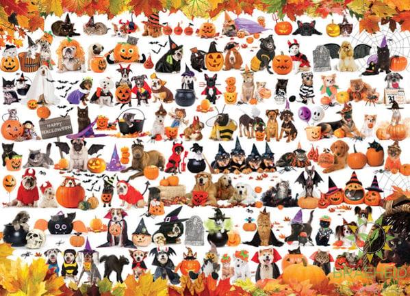 Halloween Pets Puzzle