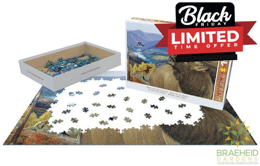 King of the Valley Puzzle