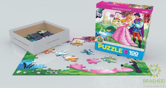 Cinderella Puzzle