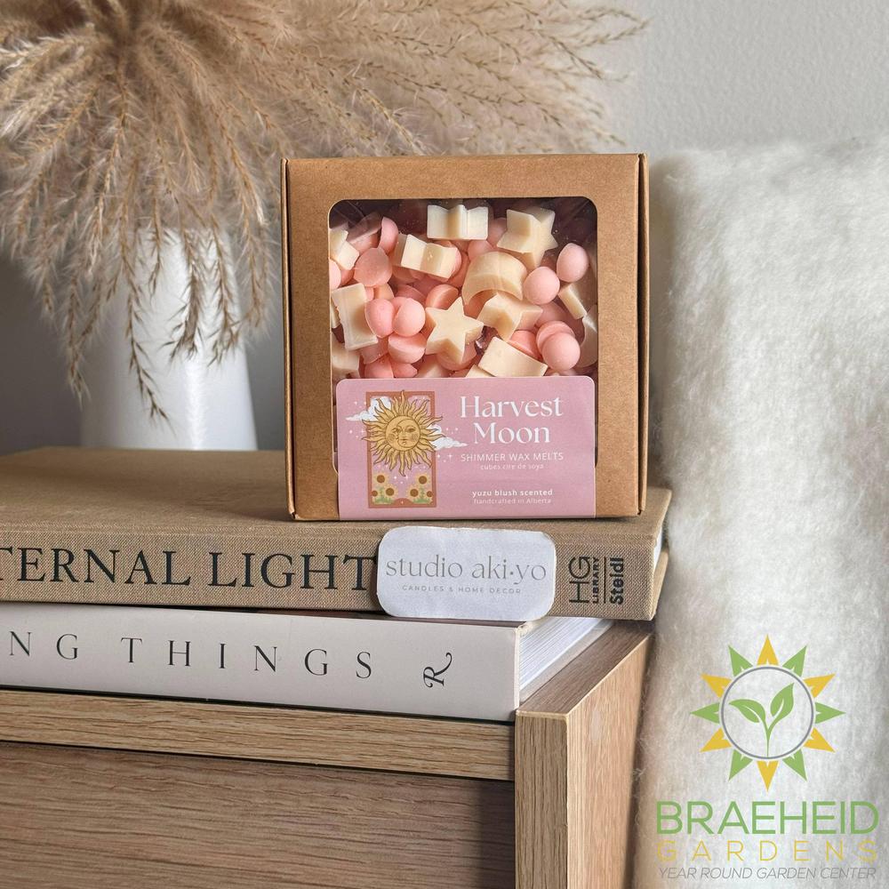 Harvest Moon โ Golden Yuzu Wax Melt Scoops | Fresh Summer