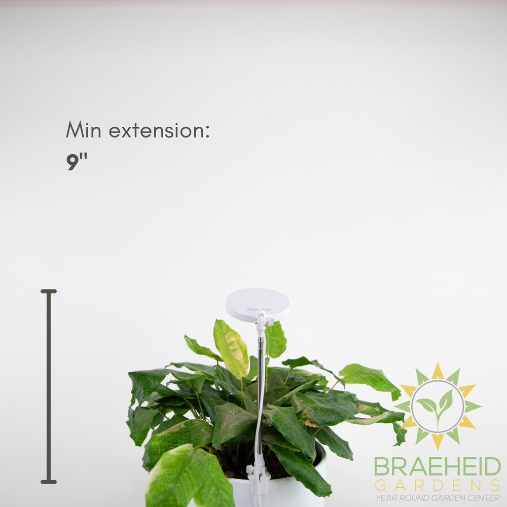 Adjustable LED Plant Light