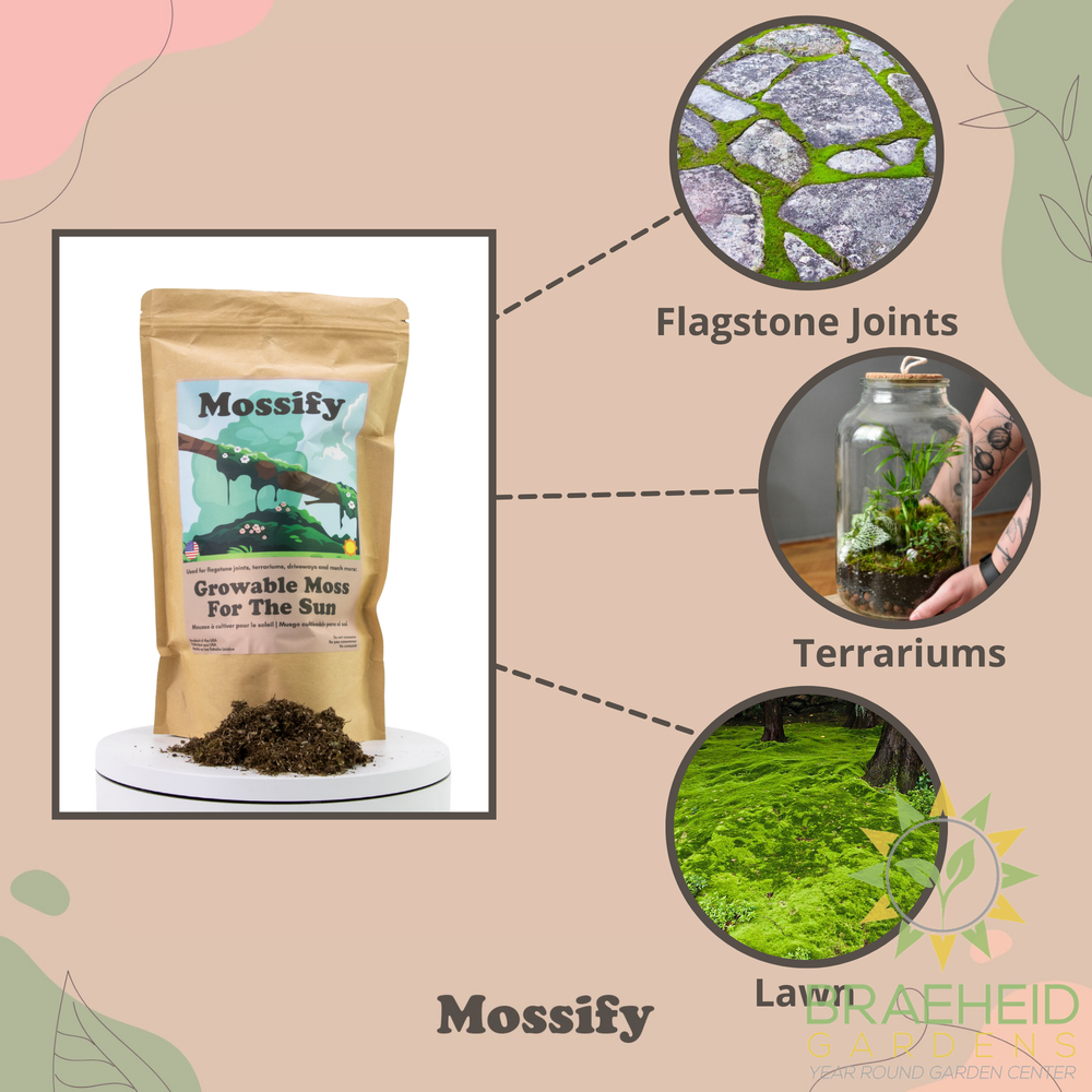 Growable Moss for the Sun