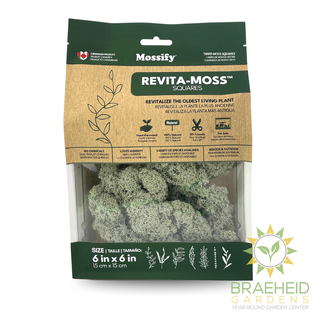 Natural Canadian Reindeer Moss - Revita-Moss
