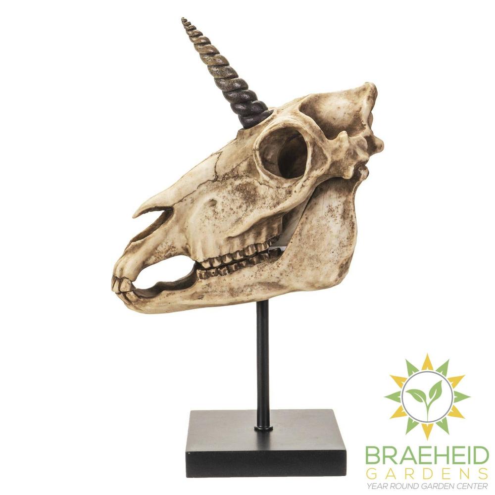 Unicorn Skull on Stand