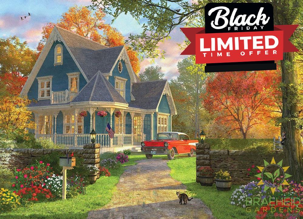 The Blue Country House Puzzle