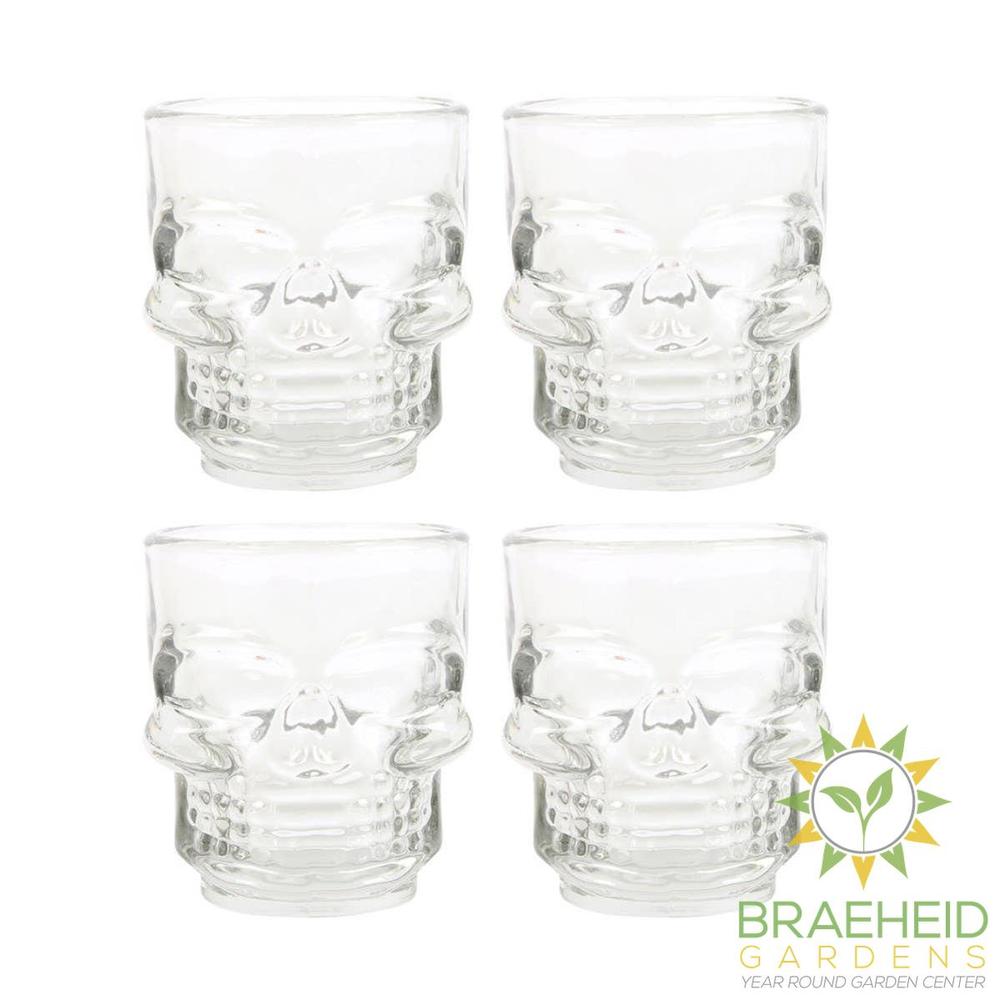 4PC Skull Shot Glass Set