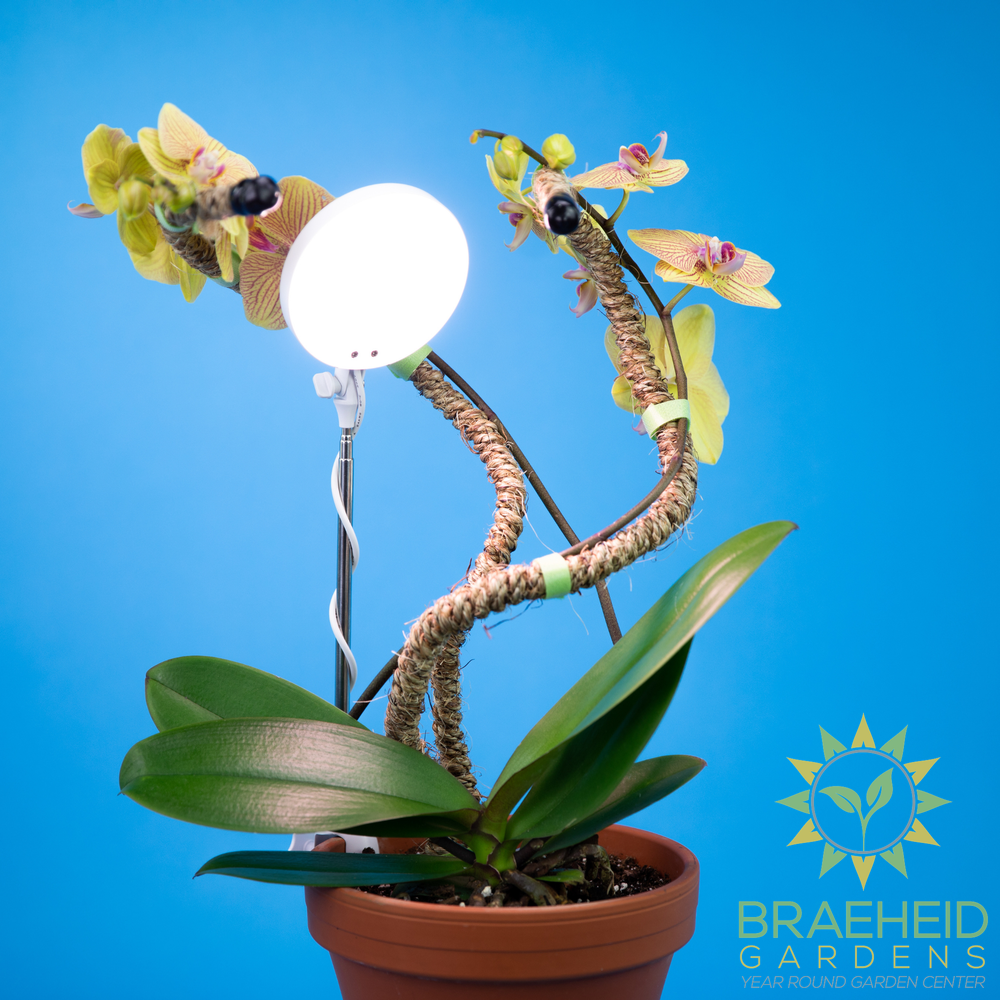 Adjustable LED Plant Light