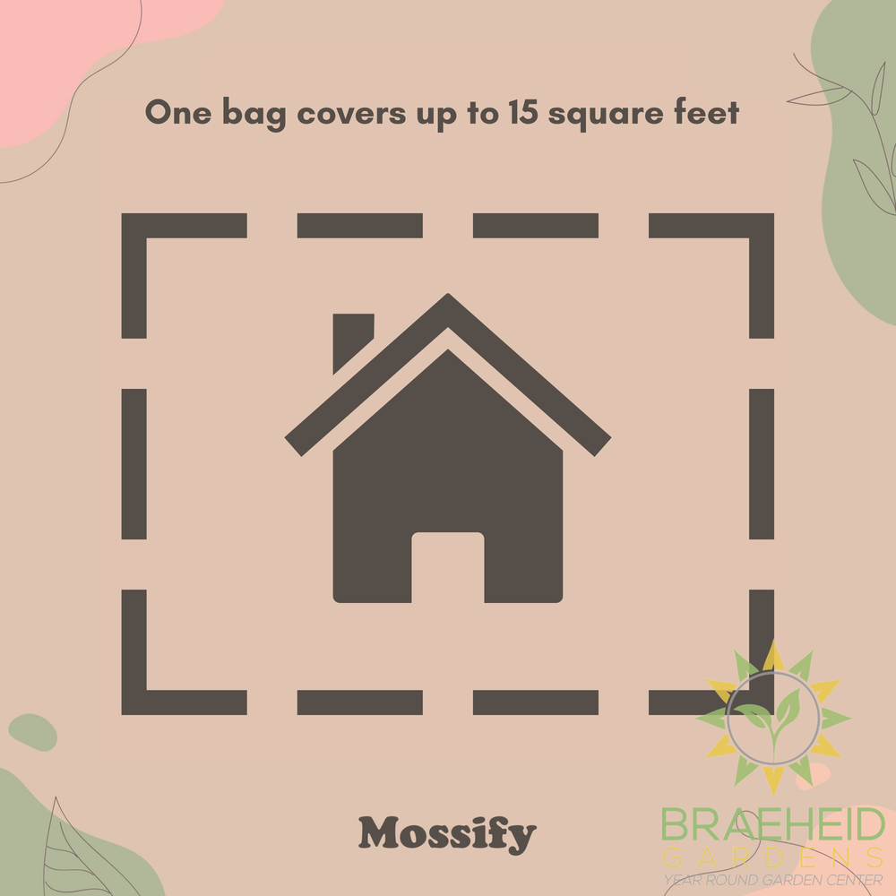 Growable Moss for the Shade