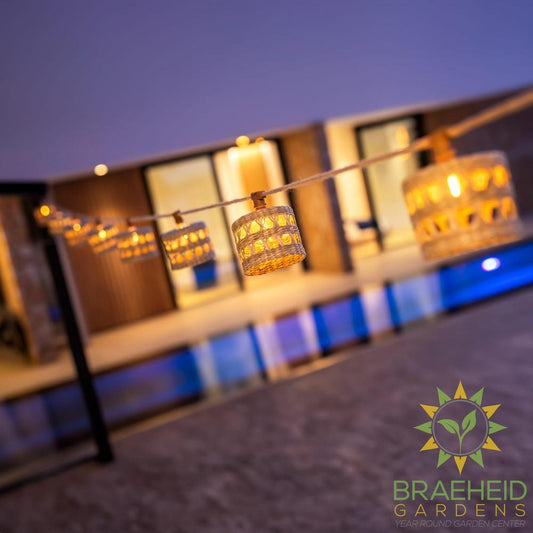 Alba<br> Solar-charged Garland