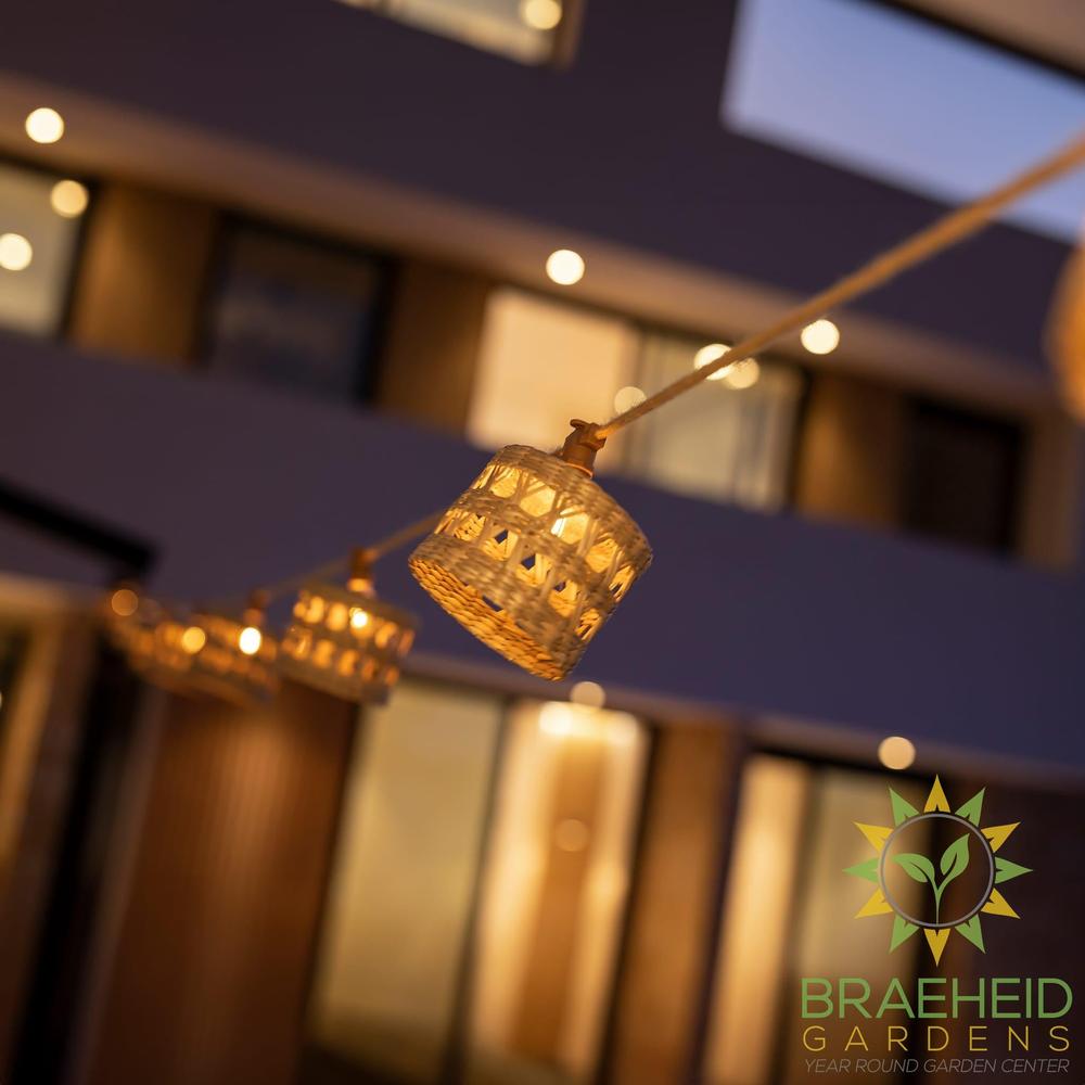 Alba<br> Solar-charged Garland
