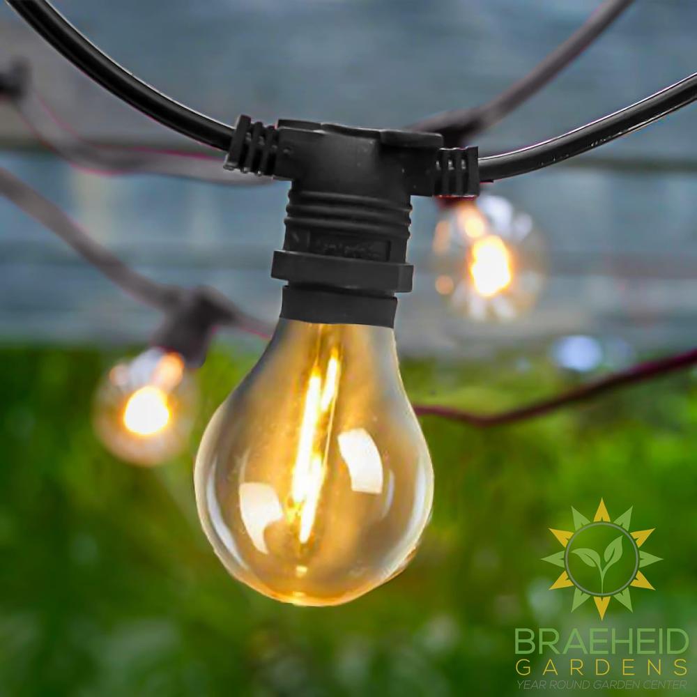Allegra<br> Solar-charged Garland