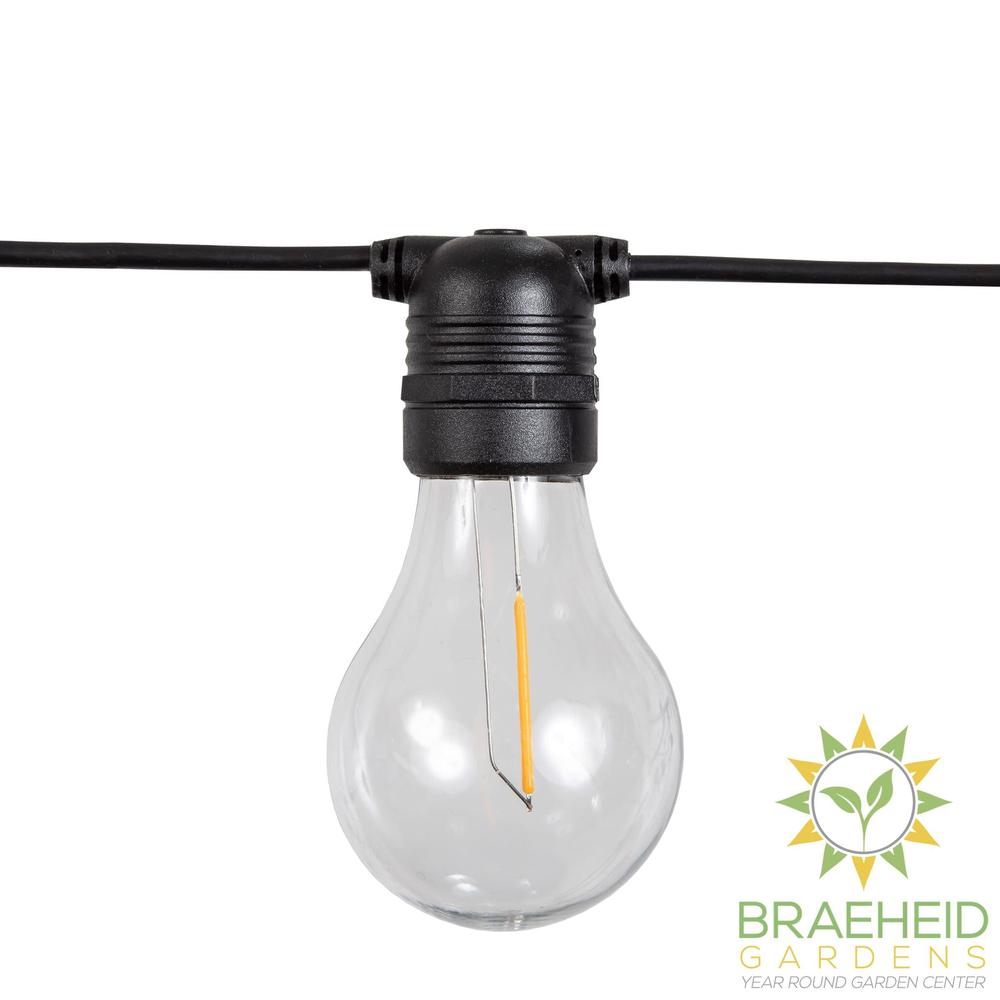 Allegra<br> Solar-charged Garland