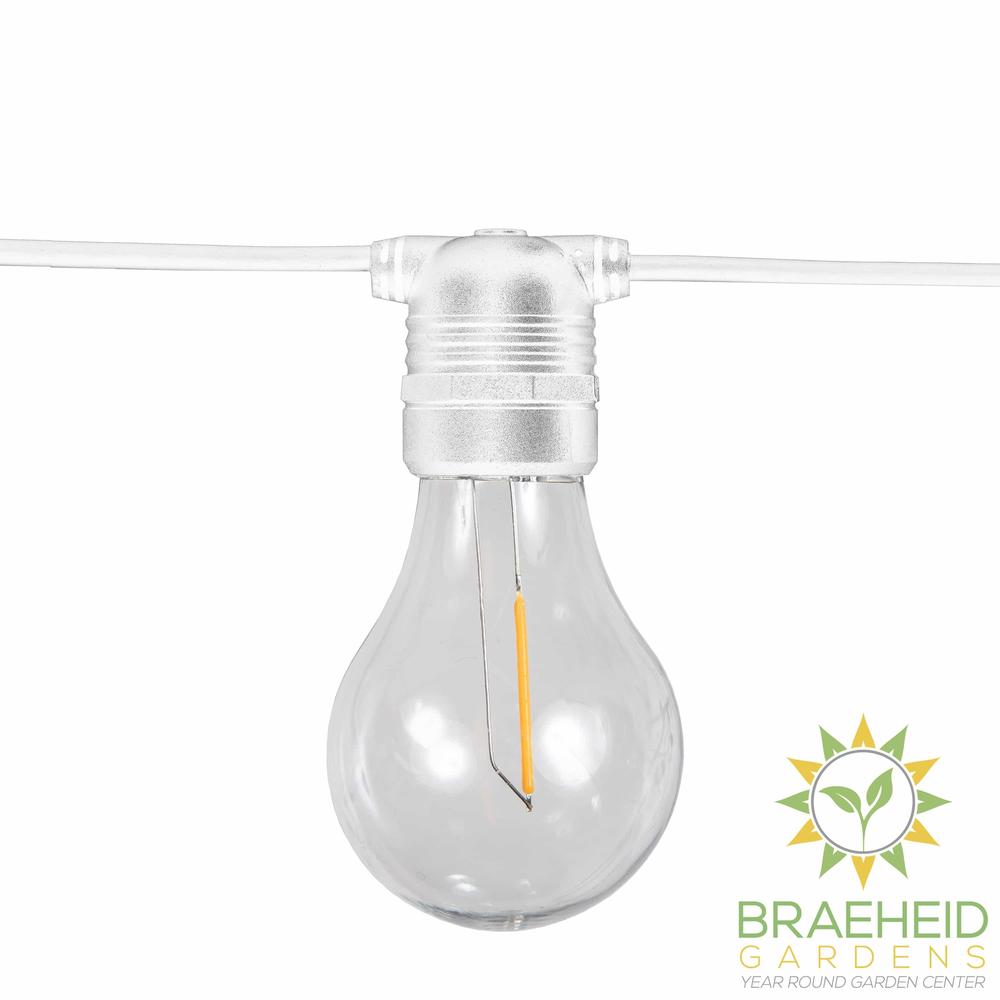 Allegra<br> Solar-charged Garland