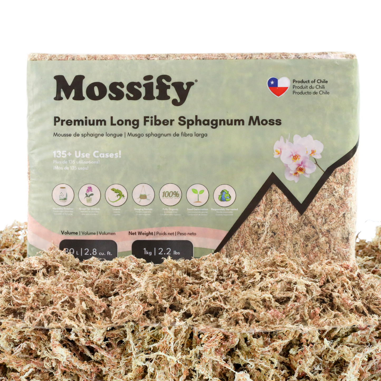 Premium Sphagnum Moss