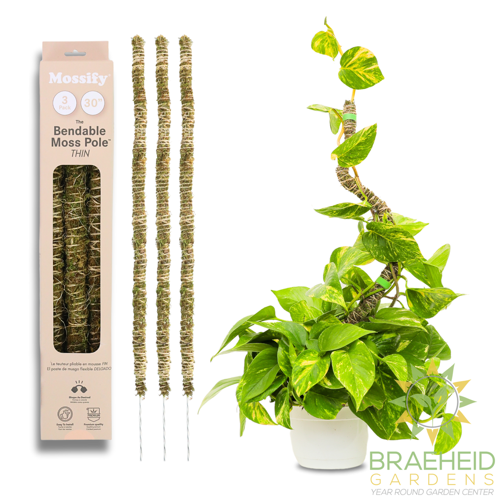 The Bendable Moss Pole™ 𝘛𝘏𝘐𝘕