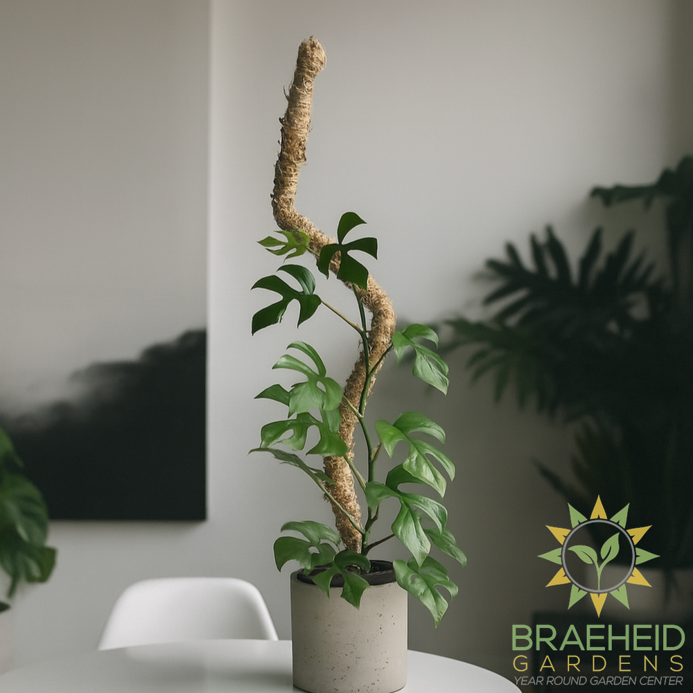 The Original Bendable Moss Pole⢠- Best Seller (Pins Included)