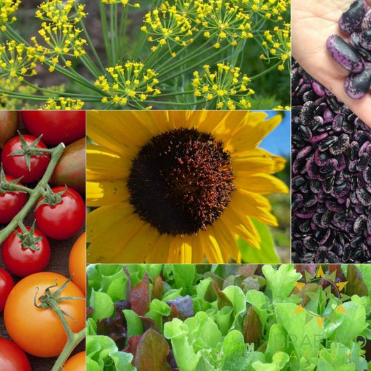 The Beginner's Garden Collection
