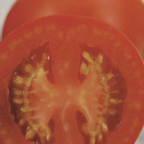 The Totally Tomatoes Collection