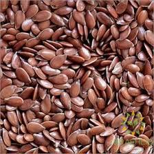 Brown Seeded Common Flax
