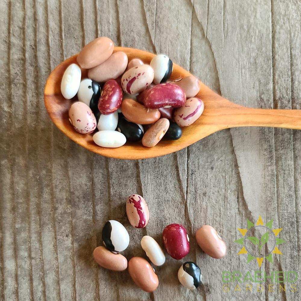Bush Bean Mix