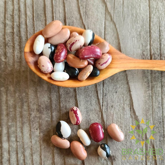 Bush Bean Mix