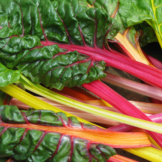 Swiss Chard Mix