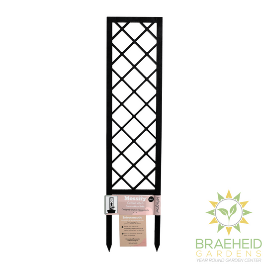 Cross-Hatch Wooden Trellis