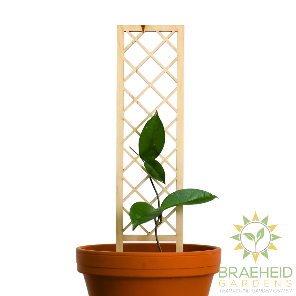 Cross-Hatch Wooden Trellis
