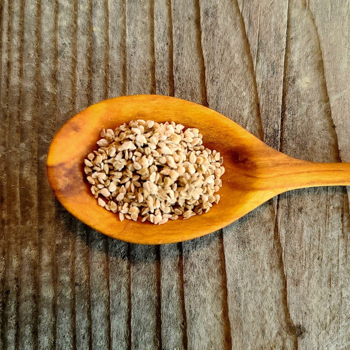 Hawaiian Currant Tomato