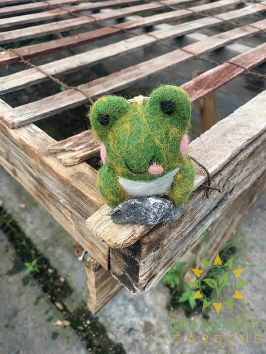 Insect Key Chain Fob