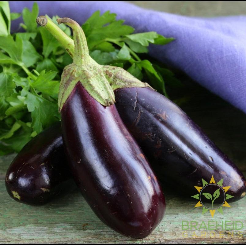 Eggplant Mix