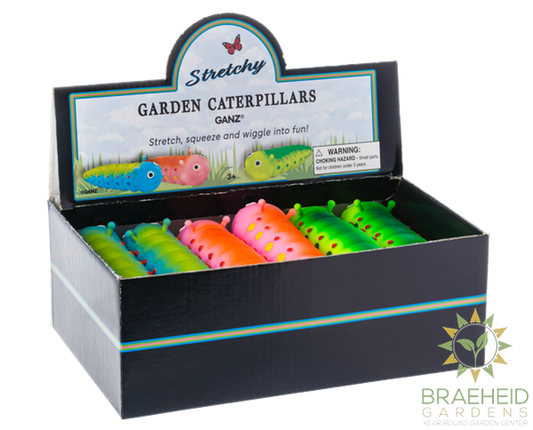 Stretchy Garden Caterpillars in Display