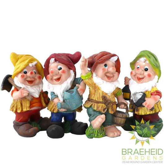 4 Little Gnome