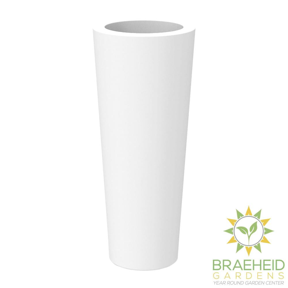 Ficus<br> Solar & Rechargeable