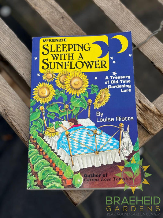 Sleeping with a sunflower