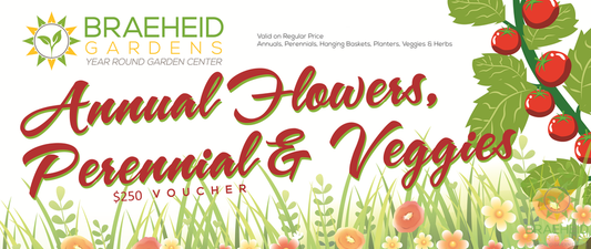 Gardening Vouchers