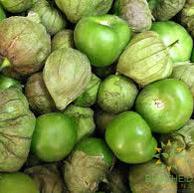 Green Tomatillo