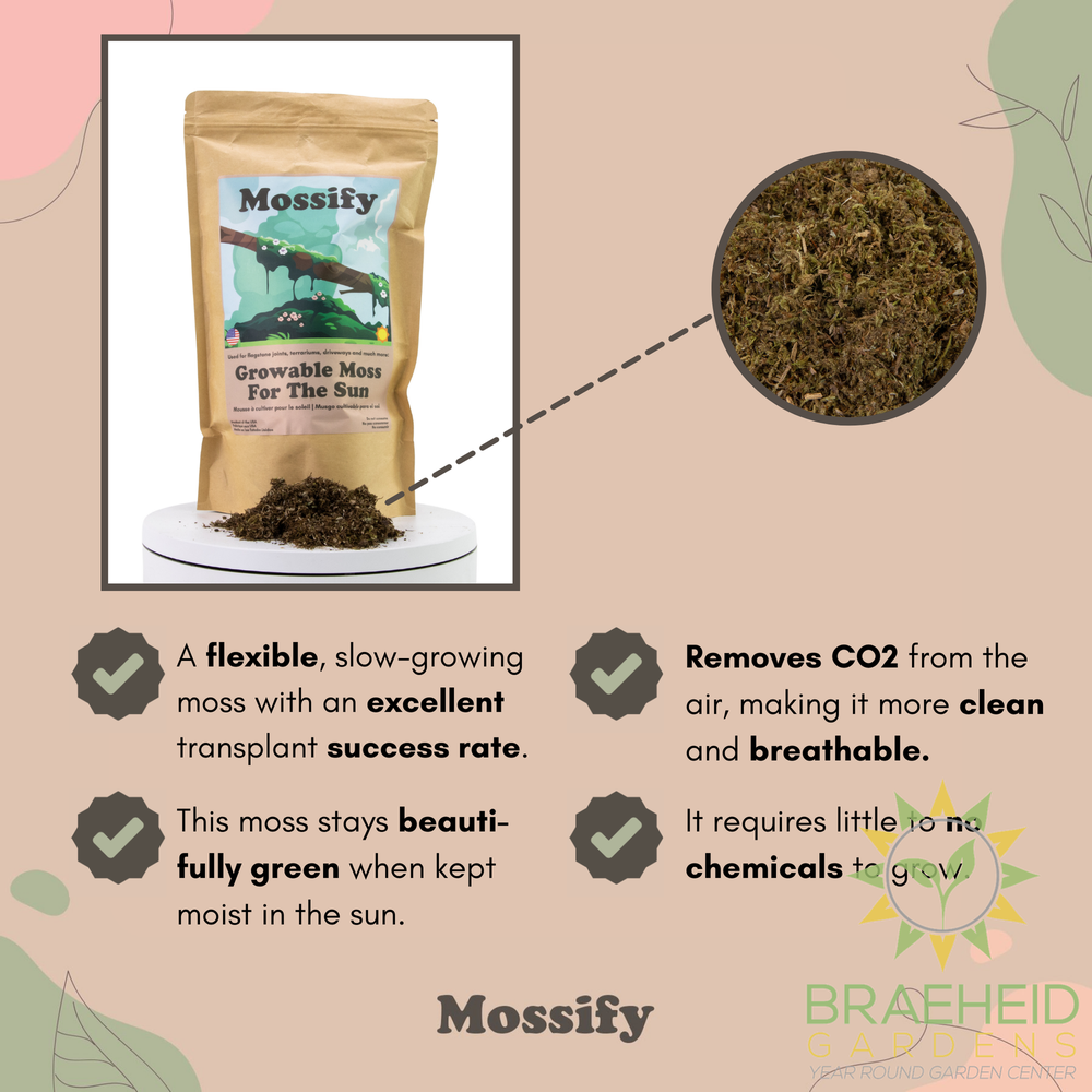 Growable Moss for the Sun