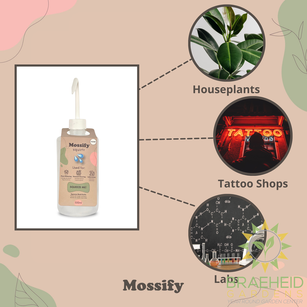 Mossify squirtr