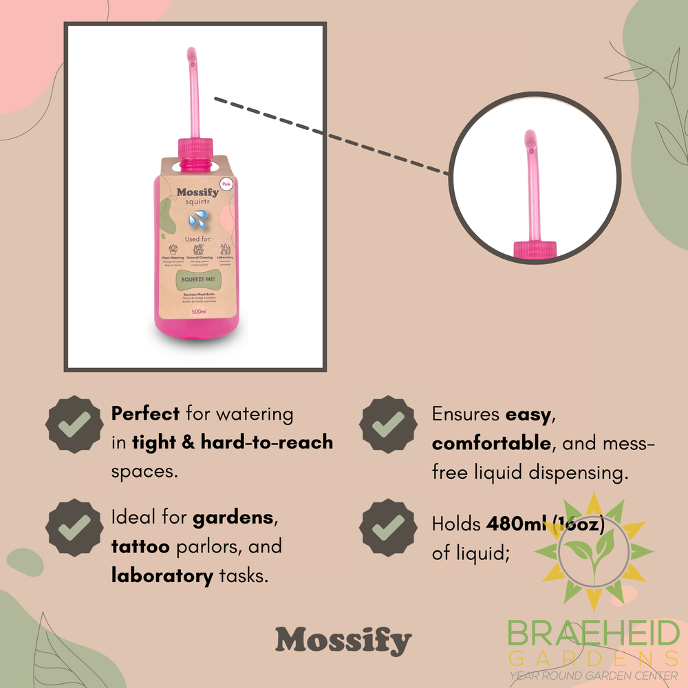 Mossify squirtr